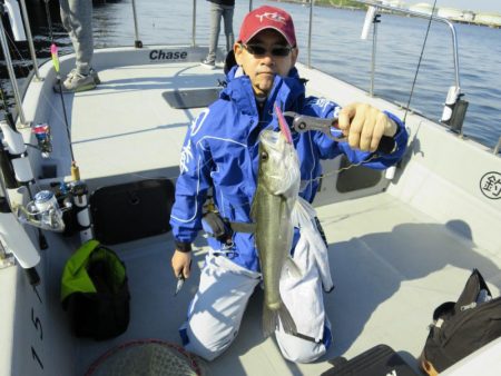 Chase（チェイス） 釣果