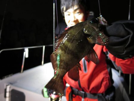 Chase（チェイス） 釣果