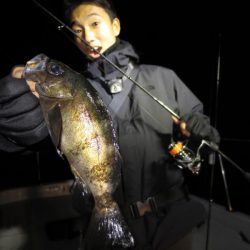 Chase（チェイス） 釣果