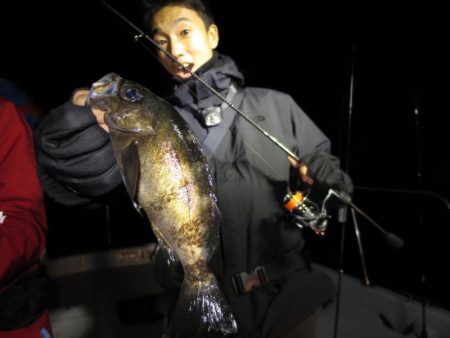 Chase（チェイス） 釣果