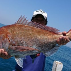 だて丸 釣果