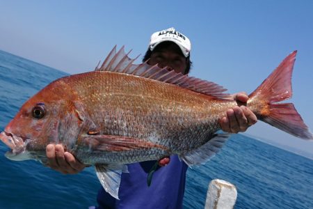 だて丸 釣果