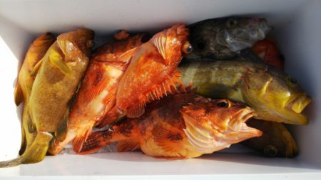 第二龍勢丸 釣果