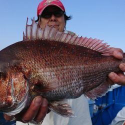 第三共栄丸 釣果