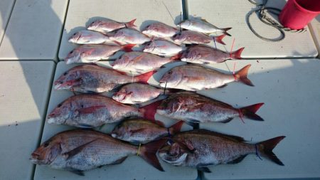 きずなまりん 釣果