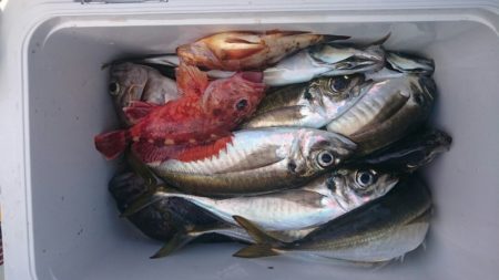 海龍丸（石川） 釣果