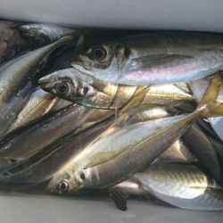 海龍丸（石川） 釣果