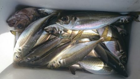 海龍丸（石川） 釣果