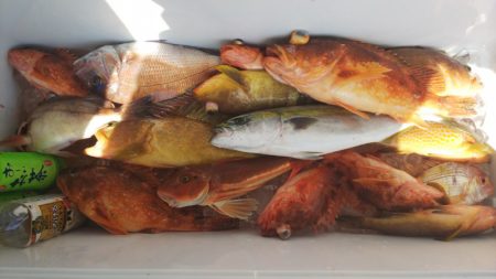 第二龍勢丸 釣果