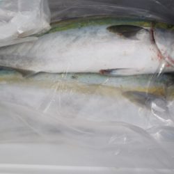 第二龍勢丸 釣果