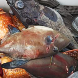 第二龍勢丸 釣果