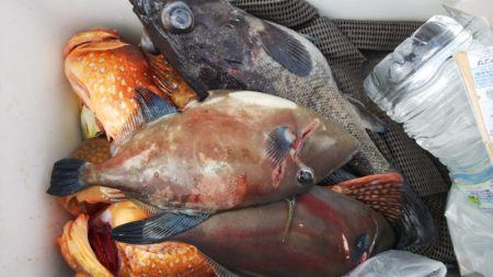 第二龍勢丸 釣果