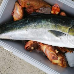 第二龍勢丸 釣果