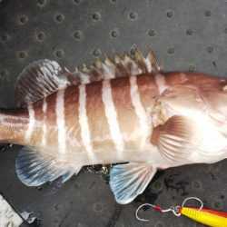 第二龍勢丸 釣果