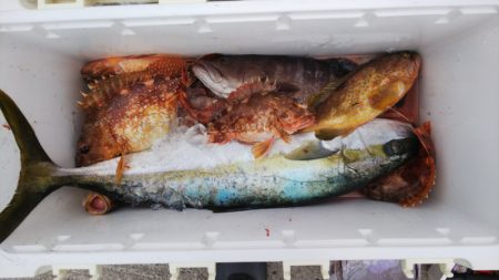 第二龍勢丸 釣果