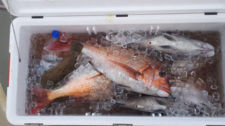 ブルドック 釣果