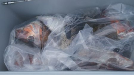 ブルドック 釣果