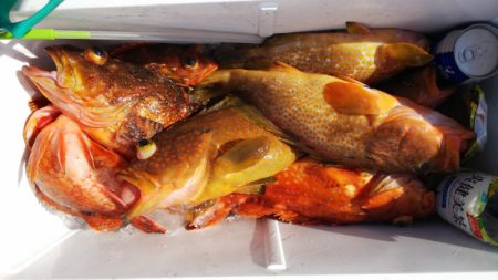 第二龍勢丸 釣果