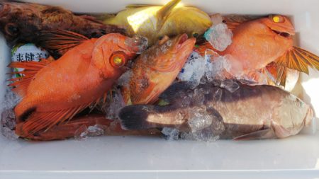 第二龍勢丸 釣果