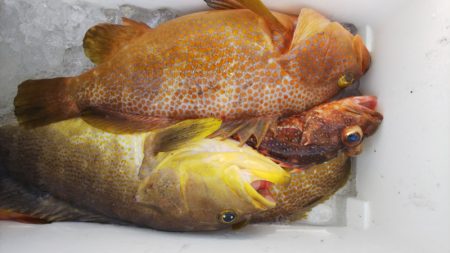 第二龍勢丸 釣果