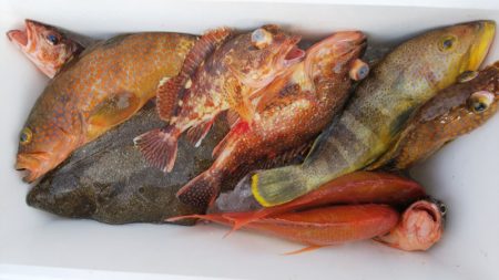 第二龍勢丸 釣果