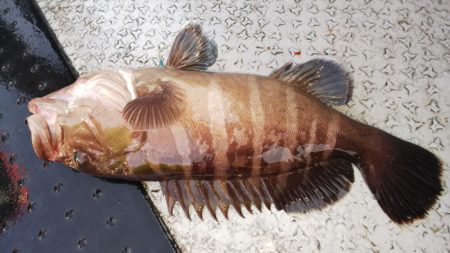 第二龍勢丸 釣果