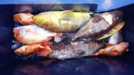 第二龍勢丸 釣果