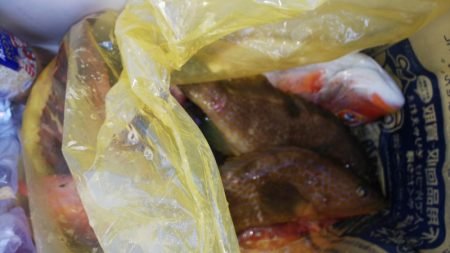 第二龍勢丸 釣果