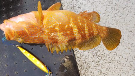 第二龍勢丸 釣果