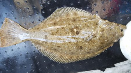 第二龍勢丸 釣果