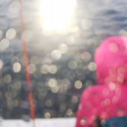 第二龍勢丸 釣果