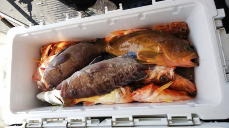 第二龍勢丸 釣果