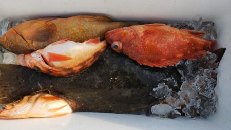 第二龍勢丸 釣果