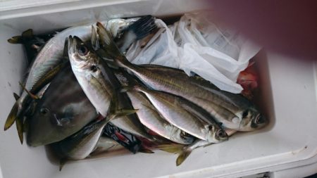 海龍丸（石川） 釣果