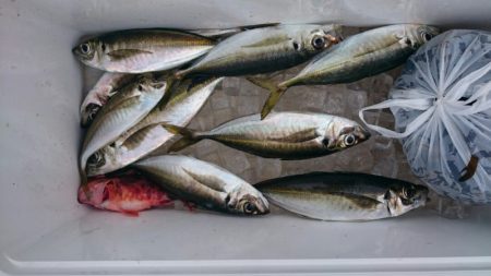 海龍丸（石川） 釣果