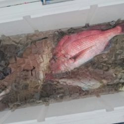 海龍丸（石川） 釣果