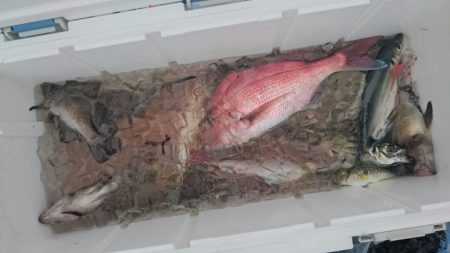 海龍丸（石川） 釣果