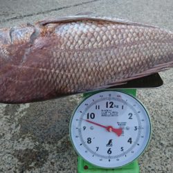 第三共栄丸 釣果