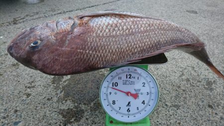 第三共栄丸 釣果