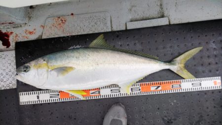 第二龍勢丸 釣果