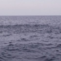 第二龍勢丸 釣果