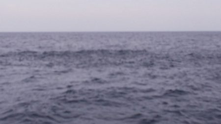 第二龍勢丸 釣果