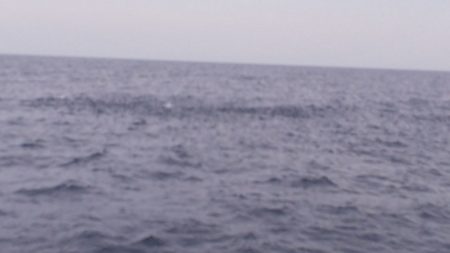 第二龍勢丸 釣果