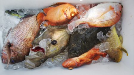 第二龍勢丸 釣果