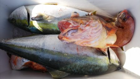 第二龍勢丸 釣果