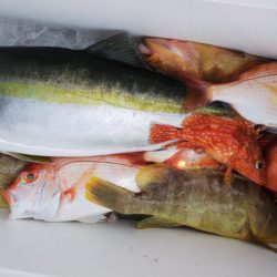 第二龍勢丸 釣果