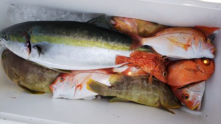 第二龍勢丸 釣果