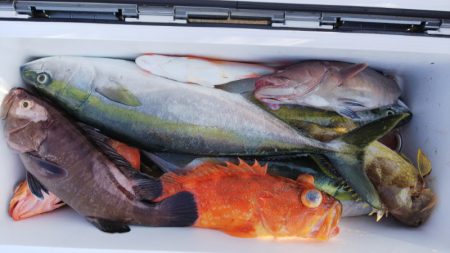 第二龍勢丸 釣果