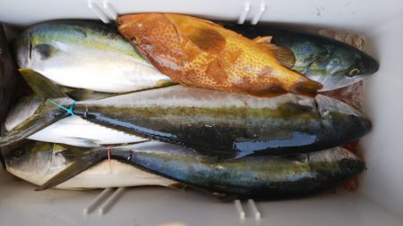 第二龍勢丸 釣果