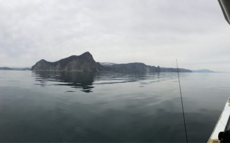 シーランチ 釣果